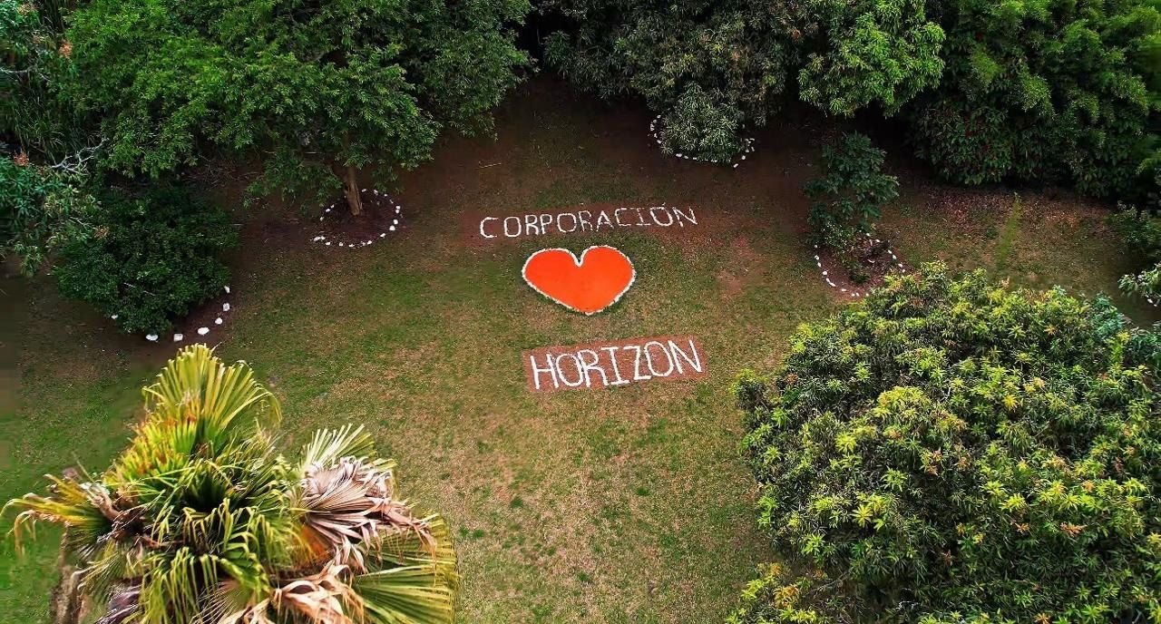 Corazón y nombre de Corporación Horizon sobre el césped, vista aérea